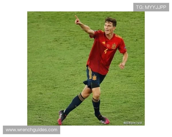 从租借边缘到国家队核心轮换：帕利尼亚的成长路径